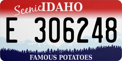 ID license plate E306248