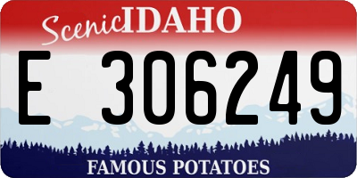 ID license plate E306249