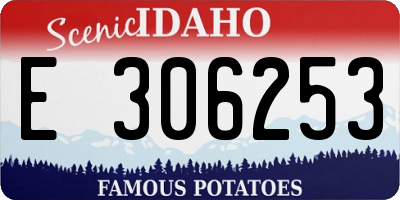 ID license plate E306253