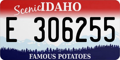 ID license plate E306255
