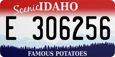 ID license plate E306256