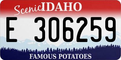 ID license plate E306259
