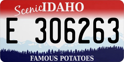 ID license plate E306263