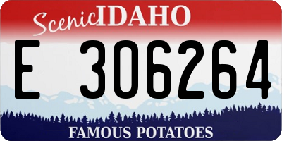 ID license plate E306264