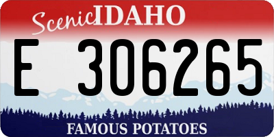 ID license plate E306265