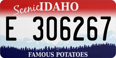 ID license plate E306267