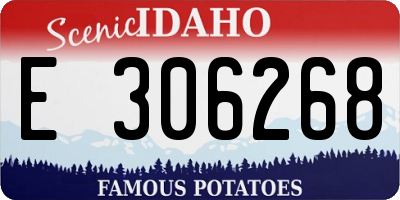 ID license plate E306268