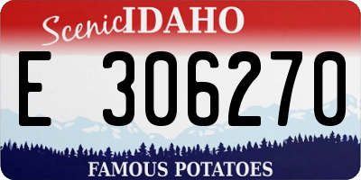 ID license plate E306270