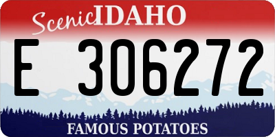 ID license plate E306272