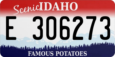 ID license plate E306273