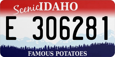 ID license plate E306281