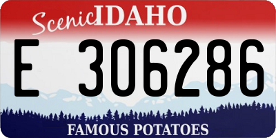 ID license plate E306286