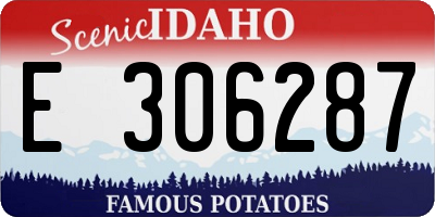 ID license plate E306287