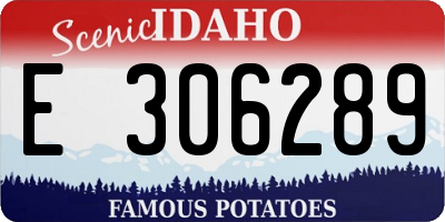 ID license plate E306289