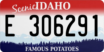 ID license plate E306291