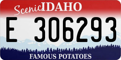 ID license plate E306293