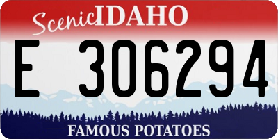 ID license plate E306294