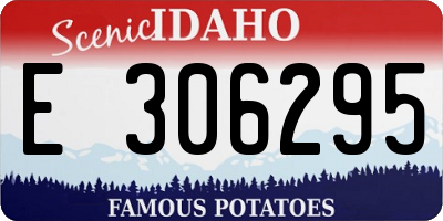 ID license plate E306295