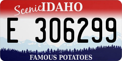 ID license plate E306299