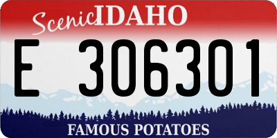 ID license plate E306301
