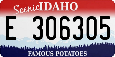 ID license plate E306305