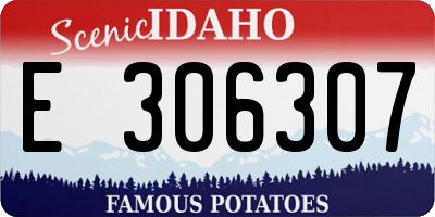 ID license plate E306307