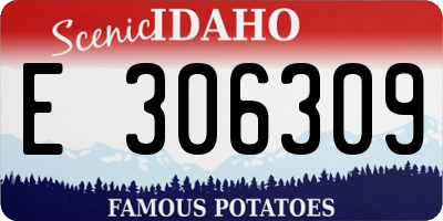 ID license plate E306309