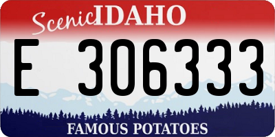 ID license plate E306333
