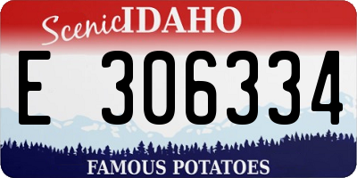 ID license plate E306334