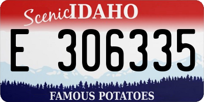 ID license plate E306335