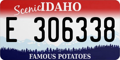 ID license plate E306338