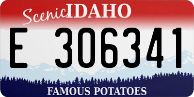 ID license plate E306341