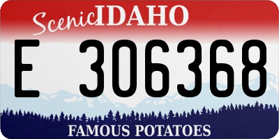 ID license plate E306368