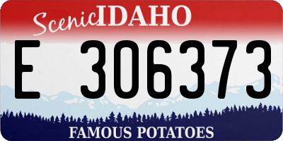 ID license plate E306373