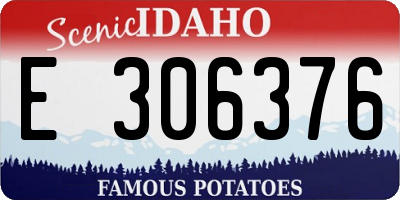 ID license plate E306376