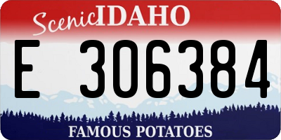 ID license plate E306384