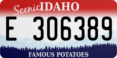 ID license plate E306389