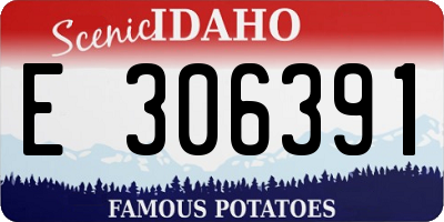 ID license plate E306391