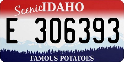 ID license plate E306393