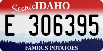 ID license plate E306395