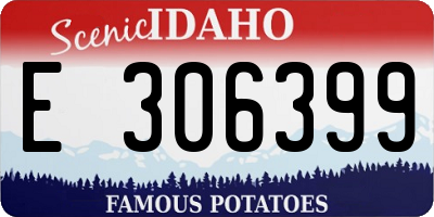 ID license plate E306399