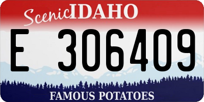 ID license plate E306409
