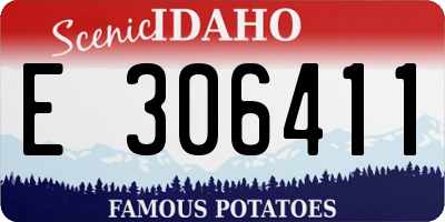 ID license plate E306411