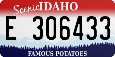 ID license plate E306433