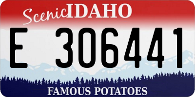 ID license plate E306441