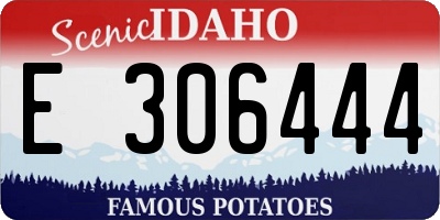 ID license plate E306444