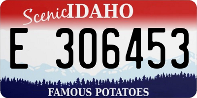 ID license plate E306453