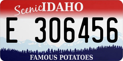 ID license plate E306456