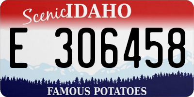 ID license plate E306458