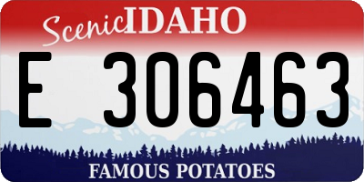 ID license plate E306463